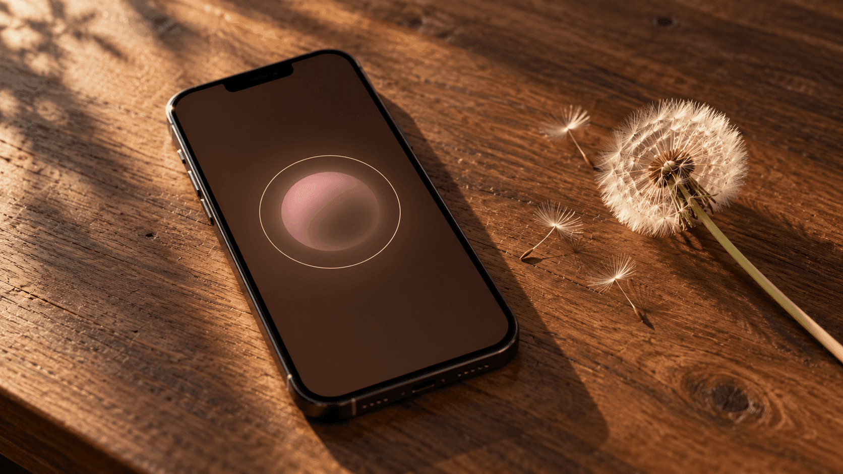 Lumière de fin d’après-midi sur une table en bois, iPhone affichant l’app Arnasea avec son halo de souffle rose mauve sur fond brun argile, un pissenlit en graines posé à côté.